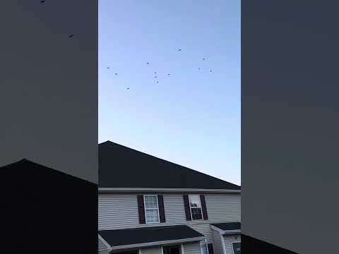 Murder in the sky 😛😂😝