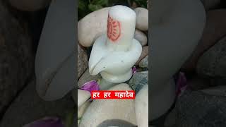 शंकर भगवान के  मंदिर में मांगने की जरूरत नहीं पड़ती #pardeepmishra #प्रदीपमिश्रालाइव #प्रदीपमिश्राजी