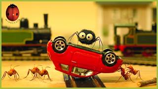 Ants On The Train | Minuscule | 50' Compilation