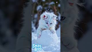 ☃️ Tiny Cat’s Winter Adventure – Building a Snowman! 🐱