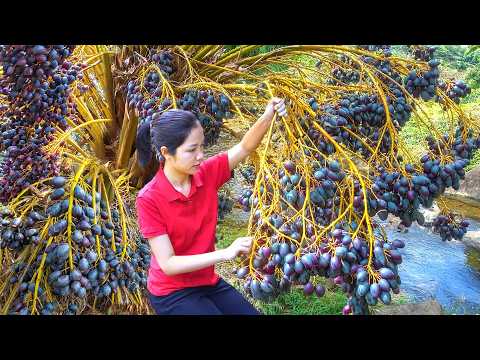 Harvesting 1000 + Palm Fruit in the forest To Sell At Market,Cook Palm Fruit|Tieu Ca- Free Bushcraft