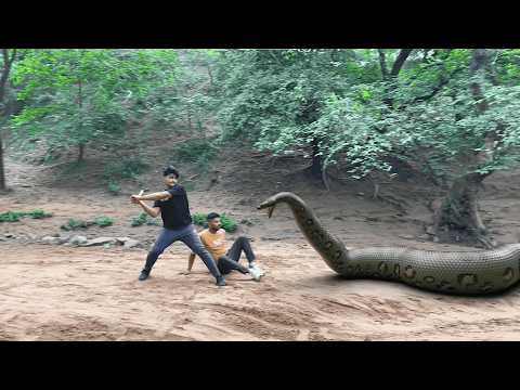 Giant Anaconda vs. Crocodile: Who Wins | REAL LIFE HD VIDEO