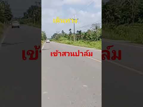 เดินทาง