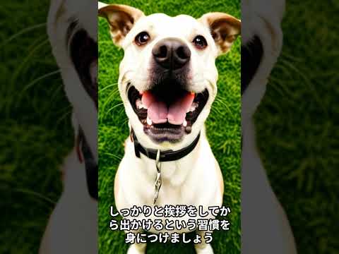 犬との朝の挨拶の話 #shorts