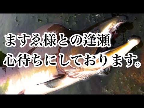 【カラフトマス釣り】安心の釣果！私にとっての必需品の作り方