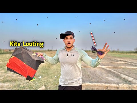 😱I Am Looted Looted Kites In Ground | Kite Catching | Kites Vlog