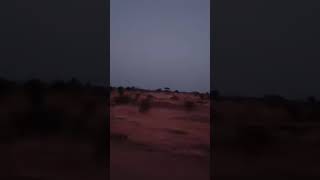 Night Ride Home in Niger 🇳🇪 | Black American Family in West Africa