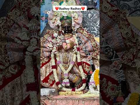 श्री जी के दुर्लभ दर्शन #trending #shortvideo #shortsfeed #viralshort #radhavallabh #vrindavan