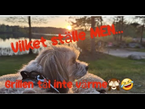 Underbart ställe i skogen! Grill, dans & yoga!