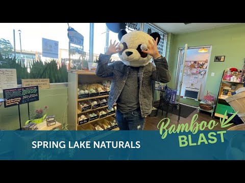 Bamboo Blast Spring Lake Naturals