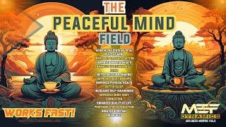 The Peaceful Mind Field (SO RELAXING)