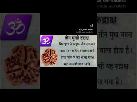 #rudraksha #teen #mukhi #sucess #study #education #career #three #shiv