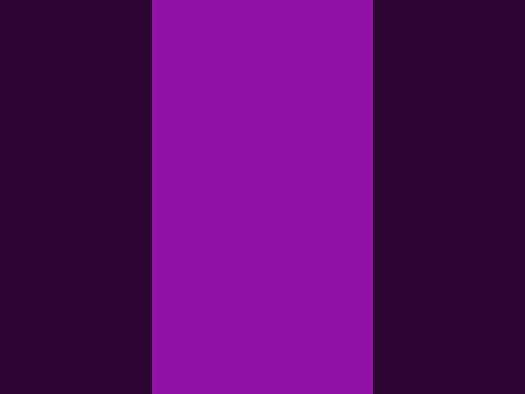 24 januari 2025