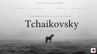 The Most Beautiful Classical Pieces by Tchaikovsky - Best Classical Music