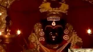 Narayani stotram