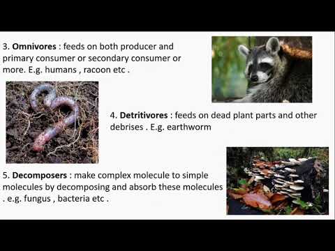 Abiotic factors || Light || Temperature || Acclimatization || Adaptation || Biotic Factors