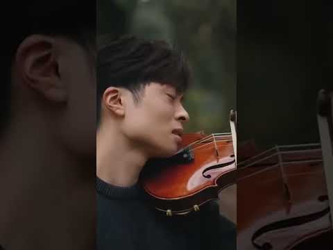 One Song. Three Violins. Unlimited Emotion 😭