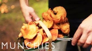 Hangover Cures: Mushroom Pappardelle and Sicilian Street food