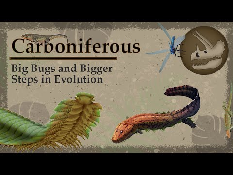 The World of Giant Bugs Before The Dinosaurs | The Carboniferous Period