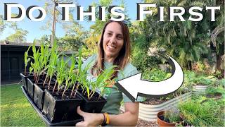 How to Get Your Florida Garden Ready for Fall