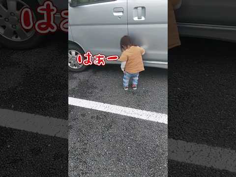 《1歳8ヶ月》お散歩　大好きなおばあちゃんの車#日常#成長#子供#1歳児 #shortvideo#癒し#癒し#あかちゃんのいる生活#ショート#育児#short#shorts#赤ちゃん#親子#成長記録