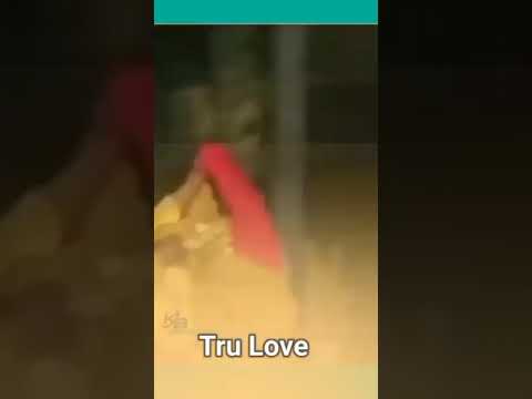 Puria Sindur #santhali status video 2024🥀🌷🥀🥀🥀🥀🥀🥀#funny video #new #Anil tudu official #pawan anjli