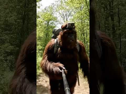Really need some honeybuns. Please. #viral #funny #bigfoot #bigfootai #biggboss #vlog
