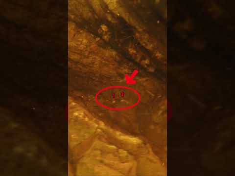 The 1oz gold crevice 👀 #goldpanning #goldprospecting #goldrush