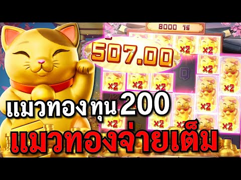 Lucky Neko : สล็อตPG สล็อตแมวทอง แมวทองทุน200!! สล็อตทุนน้อย