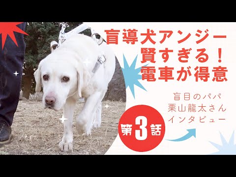 「盲導犬アンジー、電車移動のサポートがかっこいい！」盲目のパパ・栗山龍太さんインタビュー第3話