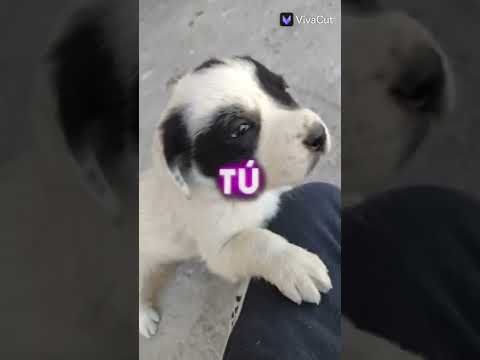 ❤️❤️