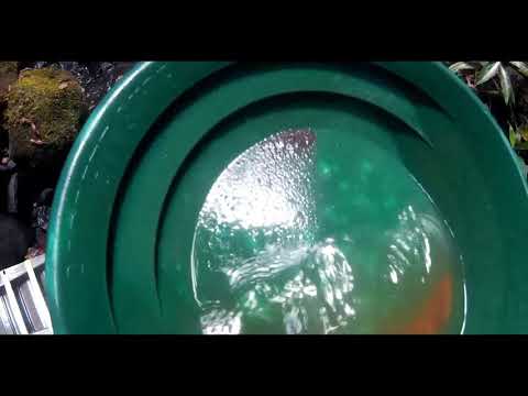 A Subscribers Gold hot spot
