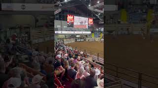 I won a calf scramble at a rodeo in Texas! I’m the one in the black shirt and white hat!