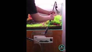 QANVEE Inline CO2 Atomizer Diffuser M1 12mm M2 16mm Aquarium Planted Tanks Aquascape Freshwater