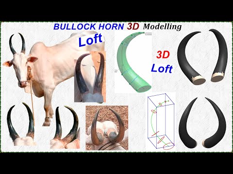 A 3D Loft Command & a Animal BULLOCK HORN, #3D training, #3Dmodeling, #solidworks, #fusion360