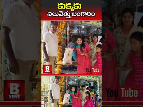 #medaramjathara #medaramjathara2024 #sithakka #minister #brsparty