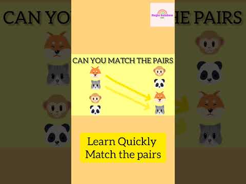 Animal Match the pairs