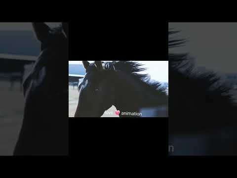 ❤️ cott animation video