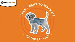2023 Thundershirt Stressful 6s - No Logo