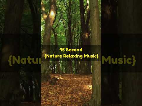 45 Second Nature Relaxing Music #relaxingmusic #meditationmusic #innerpeace