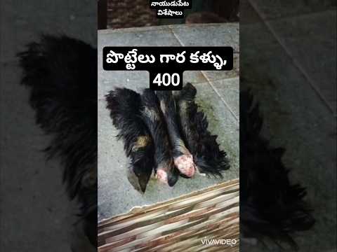 పొట్టేలు కాళ్లు 400, క్లీనింగ్ 100, మార్కెట్ లో ఈరోజు కొరమీను రేటు 350#food #shorts