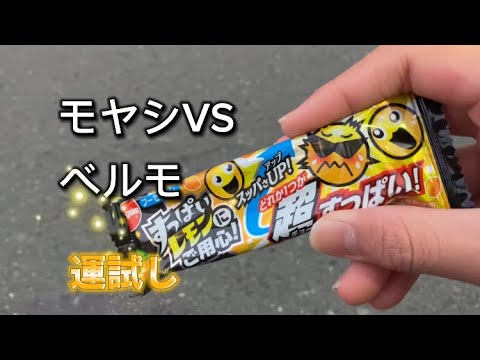 モヤシVSベルモの運試し対決！