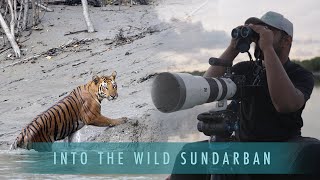 "Capturing the Majestic Sundarbans Tigers: My Filming Adventure"