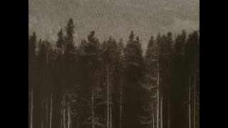Neroche - Earth Druid