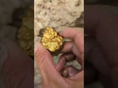 adventure hunting for gold nuggets #goldhunter #gold