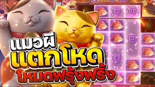 Slots, easy-to-win slots, PG slots, direct web slots, wallet slots, spin slots