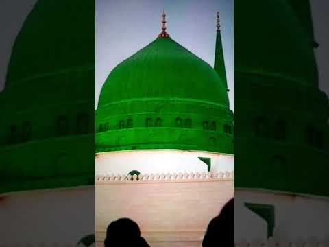 Jashn e Amad e Rasool - Farhan Ali Qadri #islam #freepalestine #shorts #youtubeshorts #shortvideo