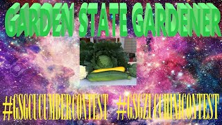 JOES GARDEN BED UPDATE