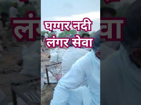 Ghaggar Nadi Langer Seva #viral #viralvideo #ghaggarnadi #shortsfeed