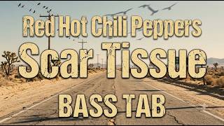 Scar Tissue / Red Hot Chili Peppers【BASS TAB】With Bass & Drum Audio